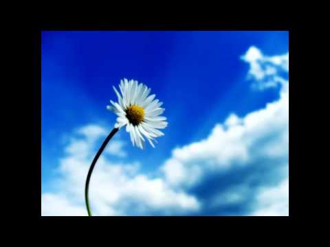 Orli & Martie - White Flower (Jerome Isma-Ae Remix)