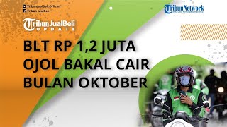 Siap-siap! Pengemudi Ojol Bakal Dapat BLT UMKM Rp 1,2 Juta, Cair Bulan Depan