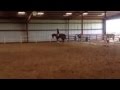 Loping Both Directions IMG 4312