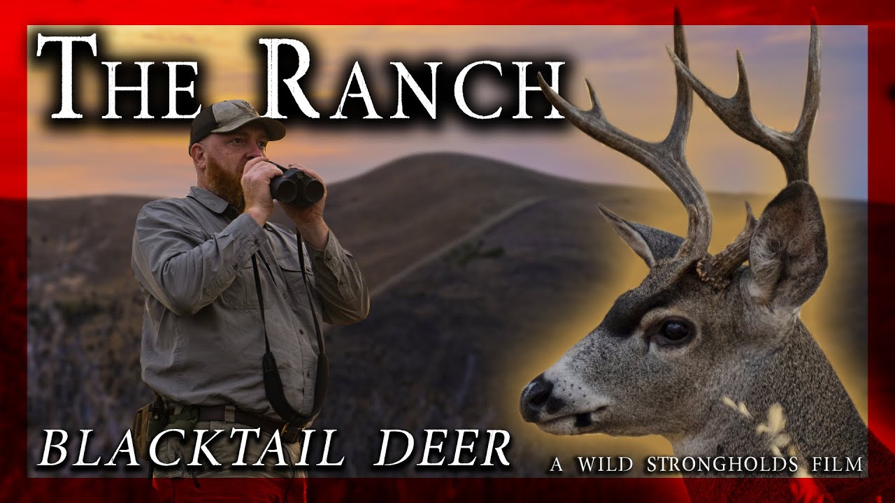 Blacktail Deer - The Ranch - A Wild Strongholds Film - 4K