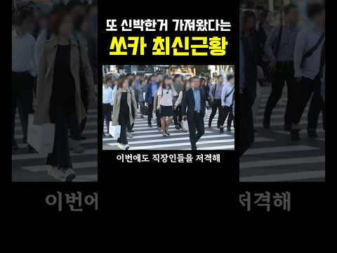 또 신박한거 가져왔다는 쏘카근황 ㅎㄷㄷ