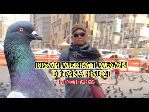 IS IT TRUE MEGAN'S PIGEON IN THE HOLY LAND OF SITI AISYAH'S PETS, THIS IS THE FACT