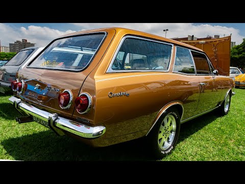 CHEVROLET CARAVAN 1978