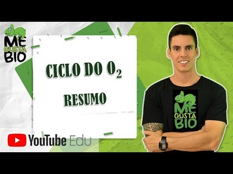 Oxygen Cycle - Summary | Me Gusta Bio with Professor Gustavo Schmidt