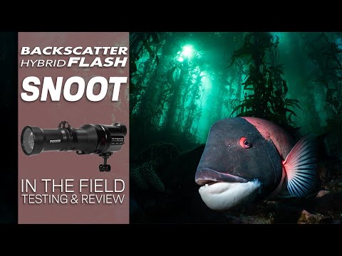 The Ultimate Do-It-All Snoot | Backscatter Optical Snoot OS-3 Review
