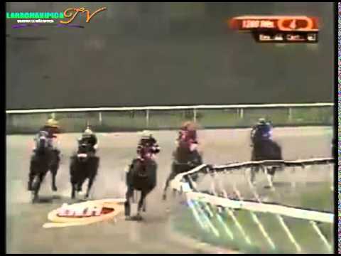 LA RINCONADA 4 CARRERA DOMINGO 08 DE JUNIO DEL 2014