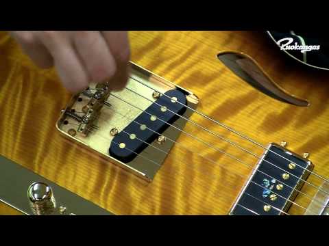 Ruokangas Guitars Mojo Grande 2007 Cognac image 13