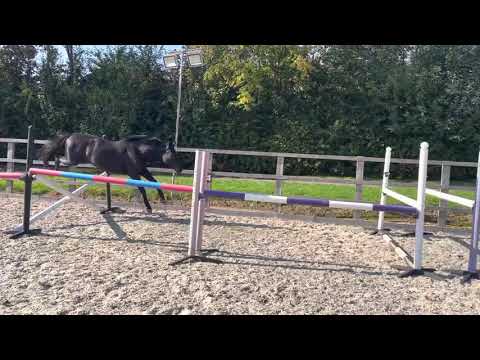 Diamant de semilly mare