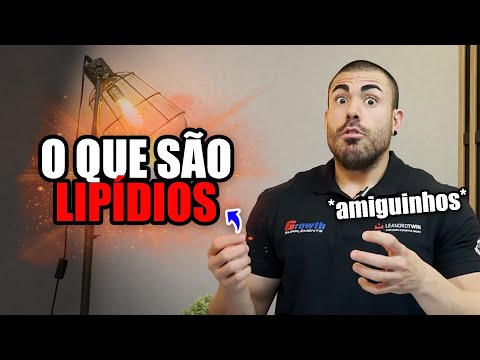 Tudo sobre lipídios