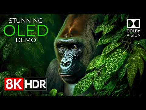 Beyond Imagination – Stunning 8K HDR 120fps Dolby Vision™ (8K Video)