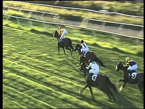 Galoppo 25/07/2015 - 2° corsa