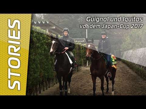 Guignol und Iquitos vor dem Japan-Cup 2017