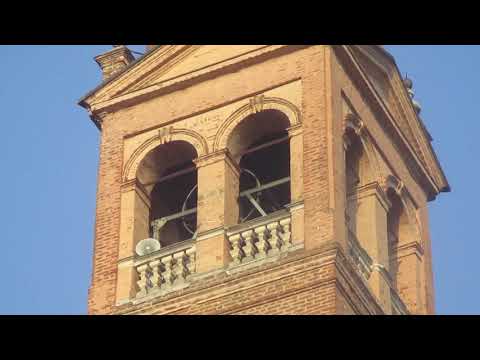 Campane di Trecenta (RO) - distesa feriale