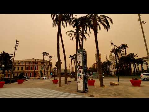 CALIMA ALICANTE 🇪🇸 SPAIN 13.03.2022