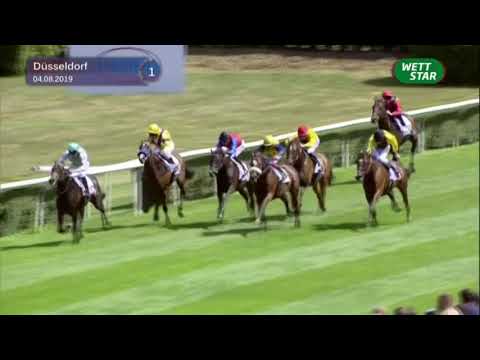 Persil-Rennen - Maidenrennen 2019