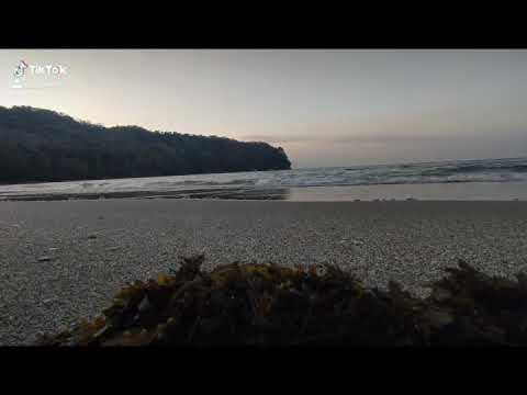 Missing the sound of the Beach🌊