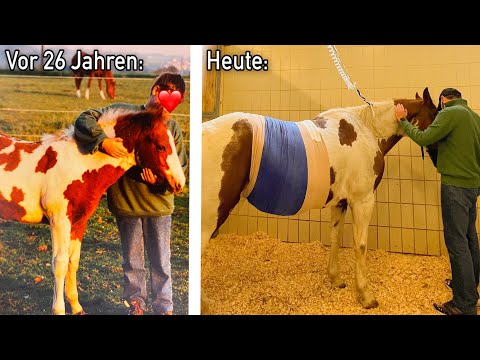 Das ist bei der Operation von Jessy passiert