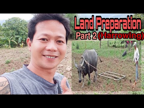LAND PREPARATION PART 2 (HARROWING)