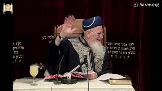 עוצמתה של שרה אימנו ודיני טבילת כלים - פרשת חיי שרה תשס"ח - מרן הרב מרדכי אליהו (הרב מרדכי אליהו זצ"ל) - התמונה מוצגת ישירות מתוך אתר האינטרנט יוטיוב. זכויות היוצרים בתמונה שייכות ליוצרה. קישור קרדיט למקור התוכן נמצא בתוך דף הסרטון