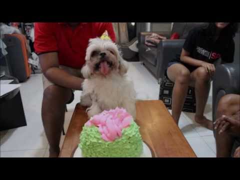 My Snuggle Puppy, Russel