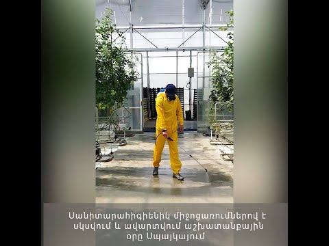 Disinfection activities are organised in Spayka every working day