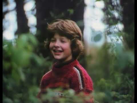 Die Kinder vom Mühlental 09 - Die wilden Schweine / Die diebische Elster