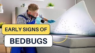 Early Signs of Bedbugs