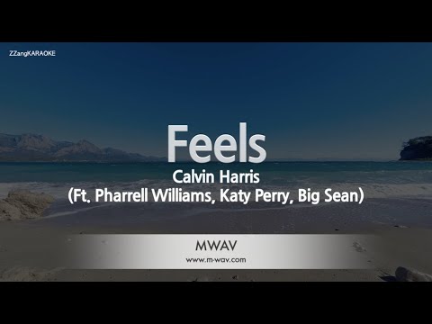 Calvin Harris-Feels (Ft. Pharrell Williams, Katy Perry, Big Sean) (Karaoke Version)