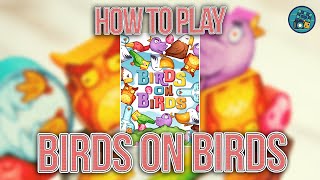 kovray - Birds on Birds video thumbnail
