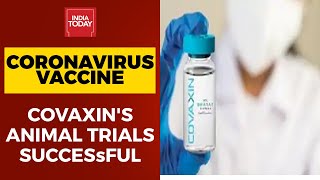 Coronavirus Vaccine Update: Animal Trials Of Covaxin Successful | Breaking News - Download this Video in MP3, M4A, WEBM, MP4, 3GP