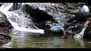 5   SnorkelingForGuppies