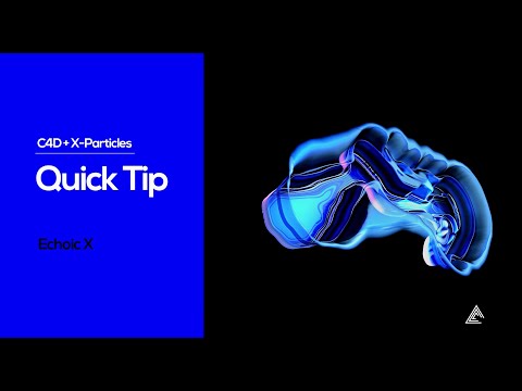 QuickTip 11 - Echoic X