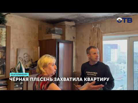 Черная плесень захватила квартиру в Екатеринбурге