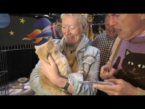 BBC1 - The One Show - Supreme Cat Show with Gyles Brandreth