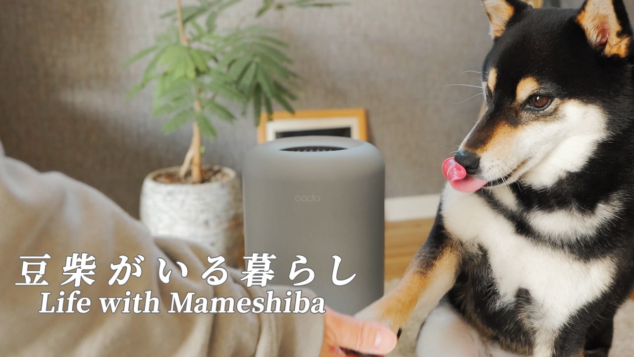 友人家族が来る日。気になるニオイどうする？