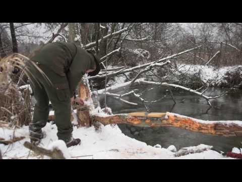 "W służbie natury" - sezon 2016- "Drzewo"