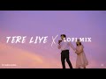TERE LIYE LOFI MIX WANNA RIDERR