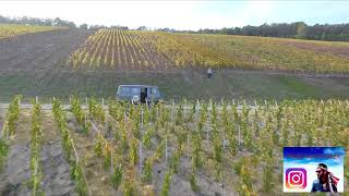 Drone Crash in Champagne