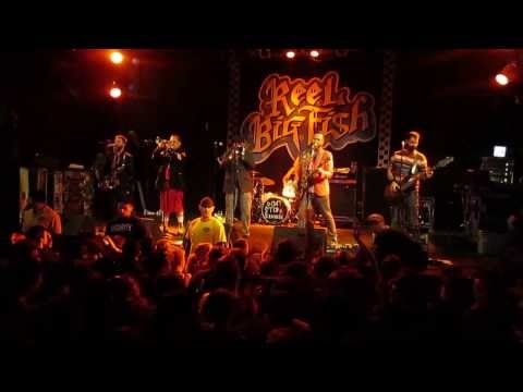 Reel Big Fish - 