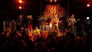 Reel Big Fish - &quot;Call Me Maybe&quot; and &quot;Sell Out&quot; (live)
