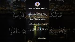 Download lagu Surah Al-Baqarah ayat 223 mp3