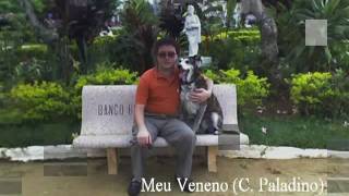 Roberto Bessa - Meu veneno