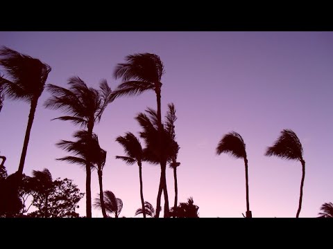 Freshly Baked 017 - Chill / Instrumental Hip Hop - Mix