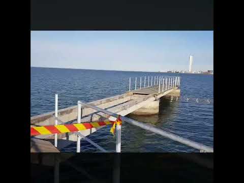 Henkefy - I hate Malik the Storm - 31 Januari 2022