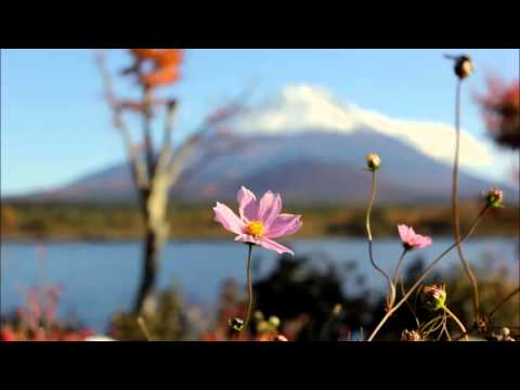 ayyu zikra- rabbani feat ustaz amal