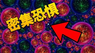 Starbite: I have committed intensive phobia! How to eat the most!