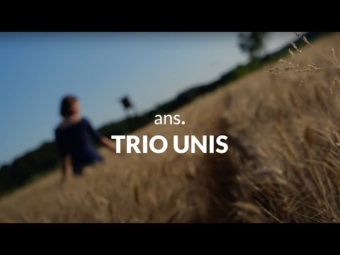 Hitri intervju: ans. TRIO UNIS - 51. FESTIVAL NARODNO-ZABAVNE GLASBE ŠTEVERJAN 2023