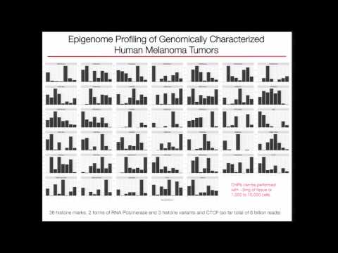 Understanding the Evolution of Melanoma Epigenome - Kadir Akdemir