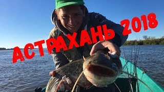 Рыболовная база в астрахани ковчег