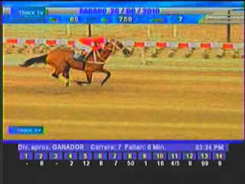 Resumen Sábado, 28 de Agosto de 2010 - La Rinconada